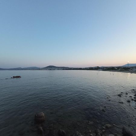 דירות ארטמידה Flat With Garden Near Sea, Port And Airport מראה חיצוני תמונה