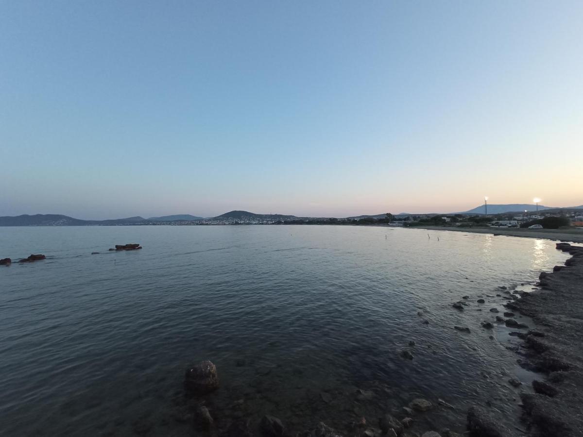 דירות ארטמידה Flat With Garden Near Sea, Port And Airport מראה חיצוני תמונה