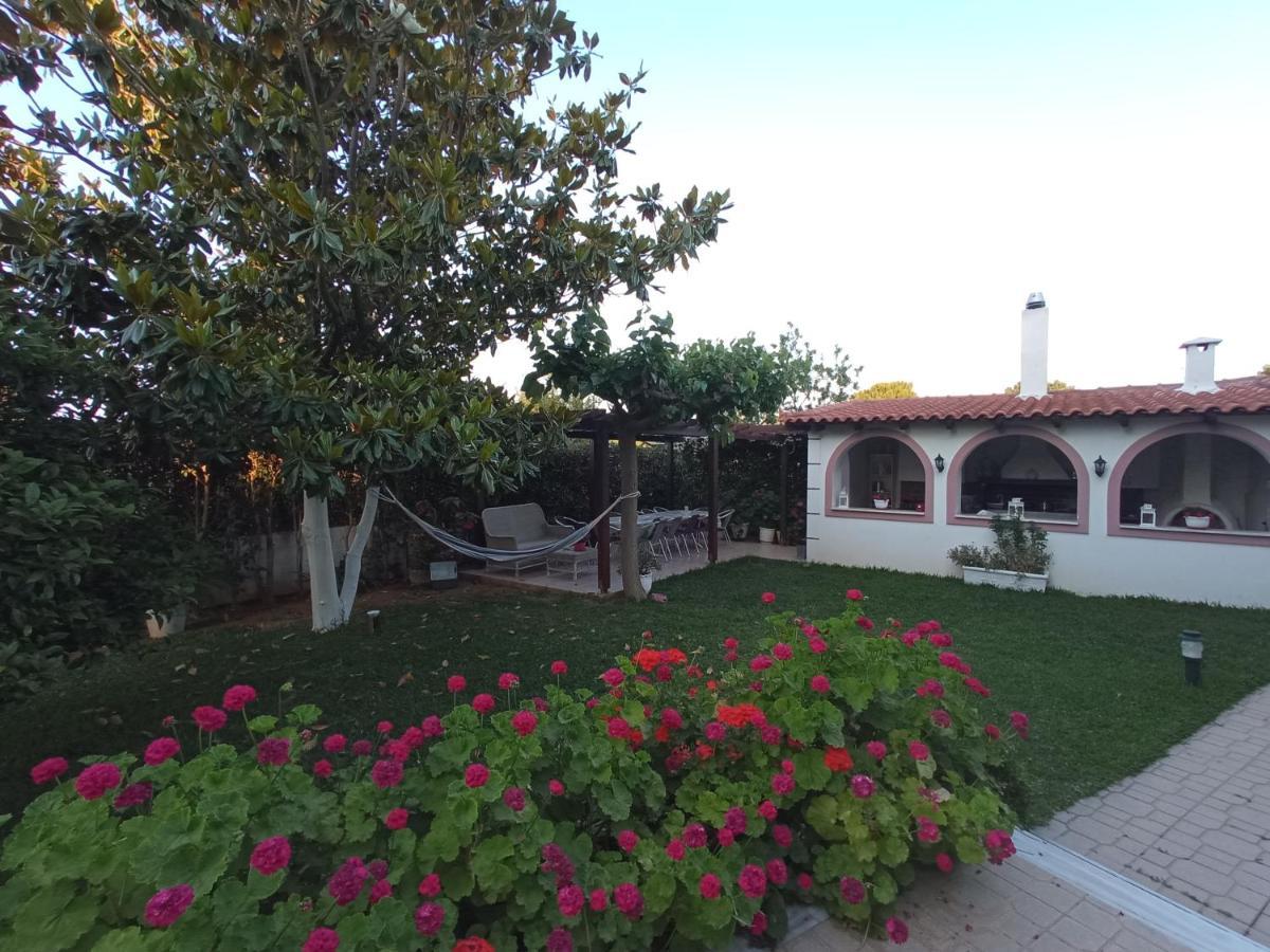 דירות ארטמידה Flat With Garden Near Sea, Port And Airport מראה חיצוני תמונה